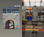 지하철 타고 '청와대' 방문한 男연예인, 소탈한 모습에 눈길