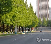 [속보] 남북연락사무소 마감통화..북한, 실무접촉 무응답