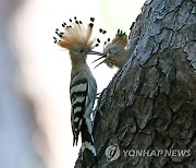 "바쁘다, 바빠"