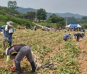 [경남소식] 영농철 범도민 농촌일손돕기 6월까지 집중 추진