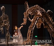 #CHINA-INTERNATIONAL MUSEUM DAY (CN)