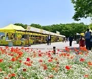 장성 황룡강 (洪)길동무 꽃길축제 즐기고 '노란꽃장터'도 만나러 오세요!