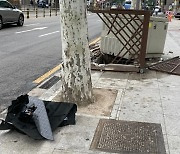 김새론 만취운전으로 아수라장 된 거리.."변압기 들이받아, 인근 카페 결제 안돼"