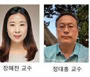 건국대 전봉현 교수팀, 나노 갭 구조 제어 금나노입자 기술 개발