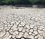 고온건조 강원 저수율 65%, 가뭄피해 걱정