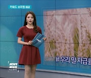 [키워드 브리핑]2025년까지 '밀 자급률' 5%까지 끌어올린다