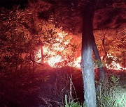 경북 경주서 야간 산불 발생..산림당국 진화중