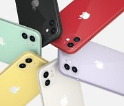 "30만원 낮췄다"..애플 마지막 LTE폰 '아이폰11 2022' 출시