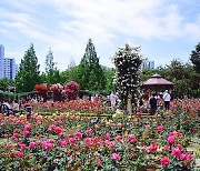 [포토친구] 5월의 장미공원