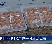 사료값 급등 치솟는 달걀 값..일반 계란 한판 7천 원