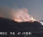 영광 돼지축사 불, 인근 산으로 번져..헬기 투입 진화 중