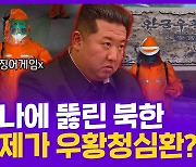 [현장의재구성] 코로나에 뚫린 북한..치료제가 우황청심환?
