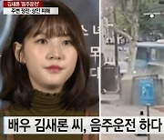 '음주운전' 김새론, CCTV 봤더니..외제차 타고 변압기 쾅→그대로 도주