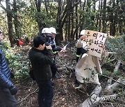 환경 파괴 논란 제주 비자림로 확장 공사 재개