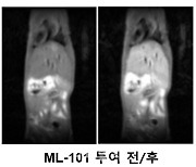 비엘팜텍, 신약개발 사업영역 확장 위해 바이오벤처 '멜라니스' 인수