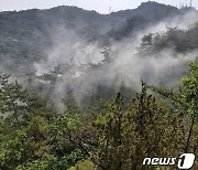 가뭄·건조한 날씨에 경기도 산불 급증 '비상'..올들어 128건 발생