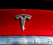 [Why] 세계 최대 전기車 기업 테슬라가 ESG 지수서 배제된 이유