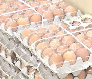 우유·계란 가격 최대 11% 오른다..매일유업 가격 인상