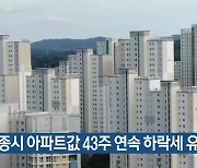 세종시 아파트값 43주 연속 하락세 유지