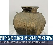 김해 대성동 고분견 '복숭아씨' 3백여 개 발견