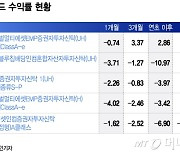 증시 조정에 이 펀드 뜬다..주식부터 부동산까지 투자