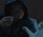 '장미맨션' 제작진, 고양이 학대신에 "해당 장면 삭제, 동물 촬영 안전확보할 것"