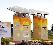 한화그룹, 국내 최초 태양광으로 꿀벌 지킨다(종합)