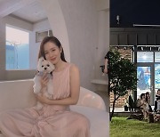 '현빈♥' 손예진, 결혼 후 행복한가봐.."좋은 날 좋은 순간"