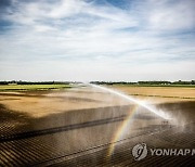 NETHERLANDS AGRICULTURE DROUGHT