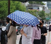 우산 아래 우산