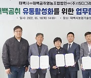 "곰취로 샴푸 생산·수출"..태백시, 영농조합 등과 '맞손'