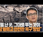 [만나보니] "산불 난 곳, 그대로 두는 것이 가장 빠르고 안전한 복구 방법"