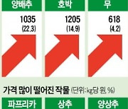 봄 가뭄에 무값 88% 급등..깍두기 먹기 더 힘들어지나