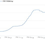 '핫'했던 배터리 원료값 식어가는데..여전히 뜨거운 이녀석의 정체