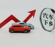 中 '자동차보조금' 정책 발표설 모락모락..추진 여부는 불확실