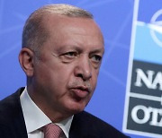 터키 에르도안 "핀란드와 21일 나토 가입 문제 논의"