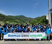 농협대전본부·기성농협·충남대 '인삼열매따기' 봉사