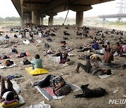 인도 폭염, 다리 밑 그늘에서 잠자는 노숙인들