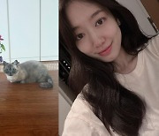 '최태준♥' 박신혜, 태교 전념 "최고 애교쟁이 초코와 최애 꽃"