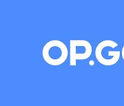 OP.GG, 국대 최대 온라인 게임 코칭 플랫폼 OGT 인수