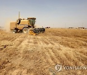 IRAQ PHOTO SET AGRICULTURE