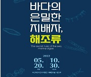 부산서 '바다의 은밀한 지배자, 해조류' 기획전 열려