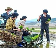 마스크를 쓰고 모내기를 하고 있는 북한 농업 근로자들