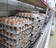 [숫자로 본 경제]한 판 '8000원'..계란 가격 급등한 이유