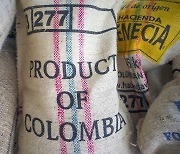 전 세계인의 커피, 아메리카노의 흑역사 [커피로 맛보는 역사, 역사로 배우는 커피]
