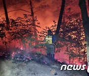 전북 순창 야산에서 화재..4시간 만에 진화