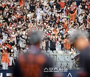 김인환 동점타에 환호하는 한화팬들[포토]