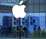 주가 하락하는 애플 "中의존 탈피".. 인도·베트남으로 생산 거점 분산