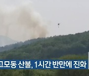 대구 고모동 산불, 1시간 반만에 진화