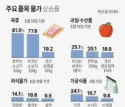 [그래픽] 주요 품목 물가 상승률